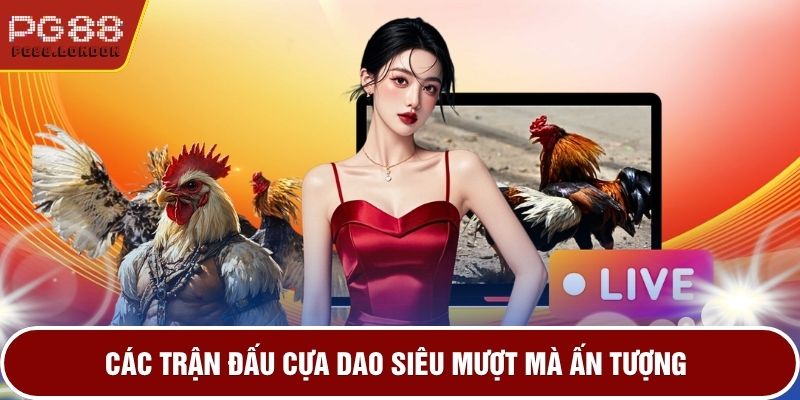 Các trận đấu cựa dao siêu mượt mà ấn tượng