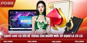 Cách Chơi Tài Xỉu Dễ Thắng Cho Người Mới: Áp Dụng Là Có Lãi 