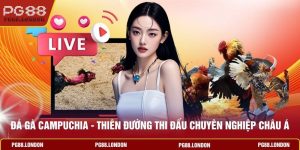 Đá Gà Campuchia - Thiên Đường Thi Đấu Chuyên Nghiệp Châu Á