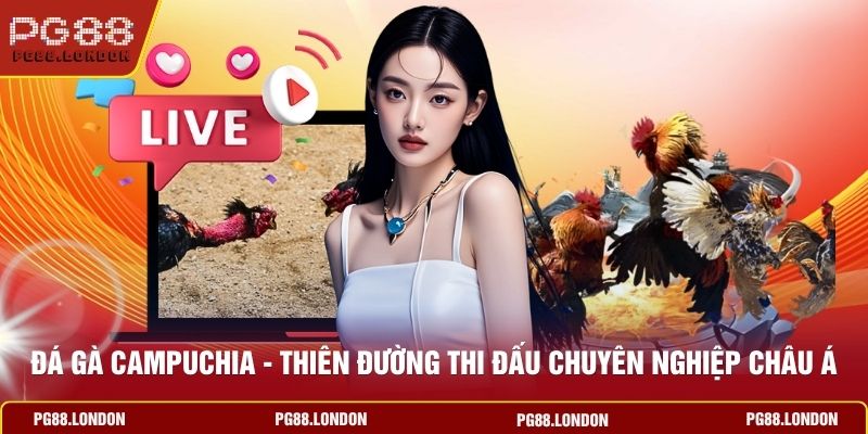 Đá Gà Campuchia - Thiên Đường Thi Đấu Chuyên Nghiệp Châu Á