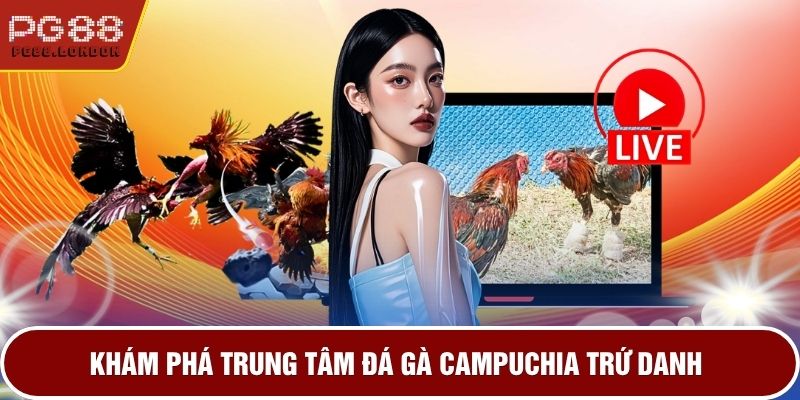 Khám phá trung tâm đá gà Campuchia trứ danh